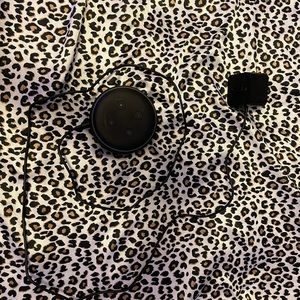 Amazon echo dot